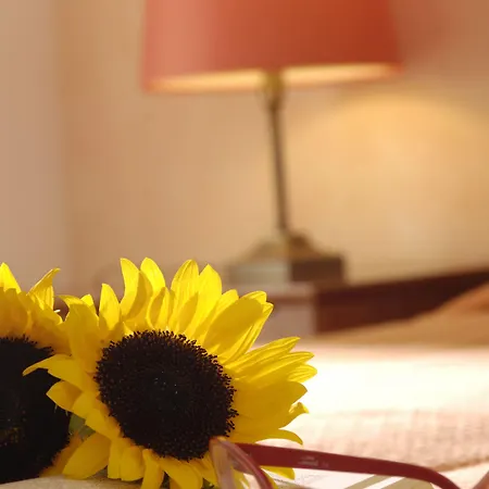 타로에 오브 미코노스 부티크 Mykonos Town