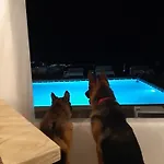 Tharroe Of Mykonos Boutique 5* Mykonos Town