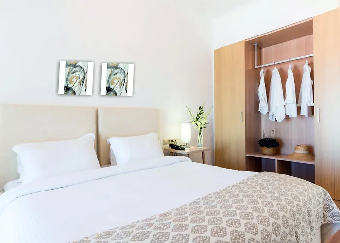 萨罗米科诺斯精品酒店