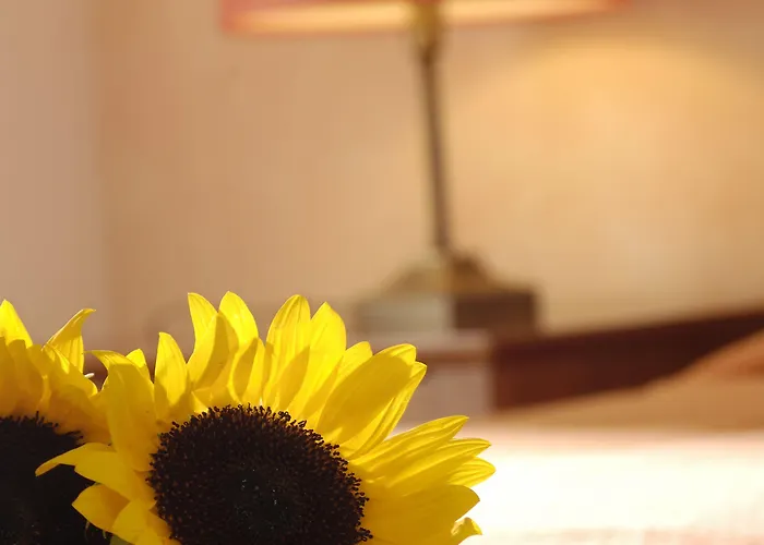 萨罗米科诺斯精品酒店 Mykonos Town